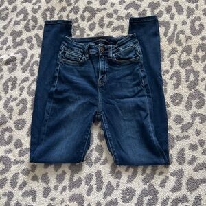 Flying Monkey Dark Blue Skinny Jeans